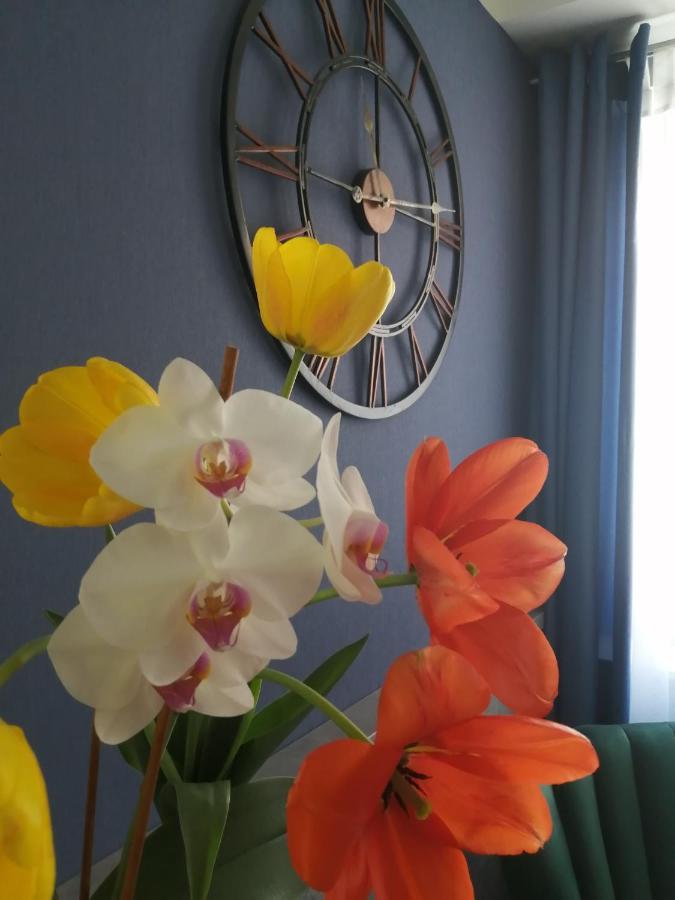 Filsdeger Haz - Central Rooms & Apartmans Bagian luar foto
